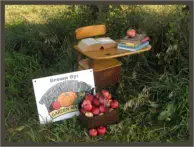 Fundraising Projects