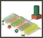 drip irrigation diagram