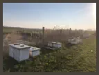 bee hives